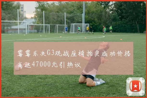 霉霉东决G3观战座椅拍卖成功价格高达47000元引热议