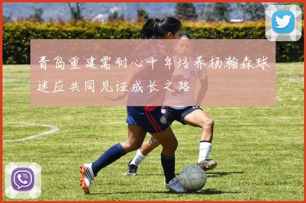 青岛重建需耐心十年培养杨瀚森球迷应共同见证成长之路