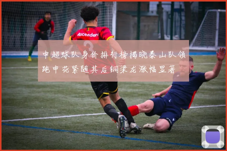 中超球队身价排行榜揭晓泰山队领跑申花紧随其后铜梁龙涨幅显著